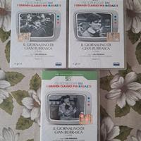 DVD "IL GIORNALINO DI GIAN BURRASCA" RAI