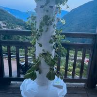 Tower Garden - Orto verticale idroponico