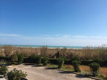 Bilocale fronte mare a vasto marina rif. 16