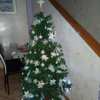 Albero di Natale 