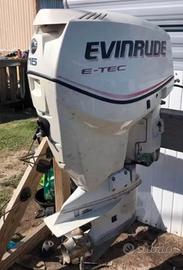 Motore fuori bordo Evinrude 115 CV E-TEC - 2018