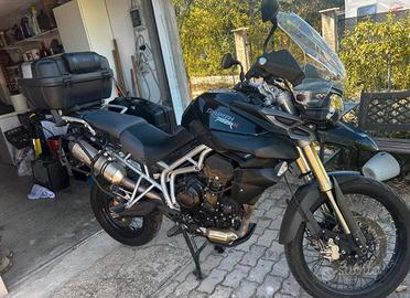moto triumph tiger xc 800