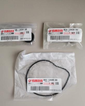 Guarnizioni pompa acqua / olio Yamaha R1 2010