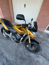 Honda Hornet