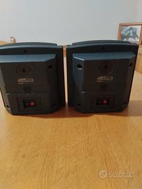 due casse. da 45 watt l una 