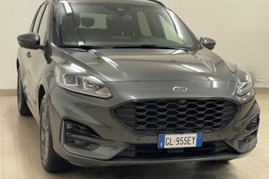Ford kuga 1.5 120cv st-line nuova
