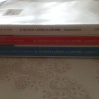 Il nuovo latino a colori