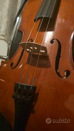 Viola Damon Student con archetto