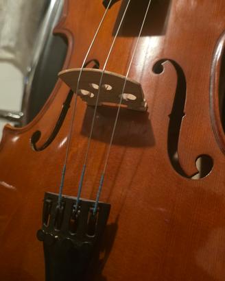 Viola Damon Student con archetto