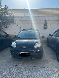 Panda fiat nuova anno 2017