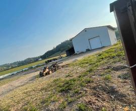 Capannone villafranca d'asti con terreno intorno