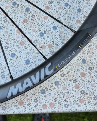 Ruota E-Crosstrail SL carbon 29 danneggiata
