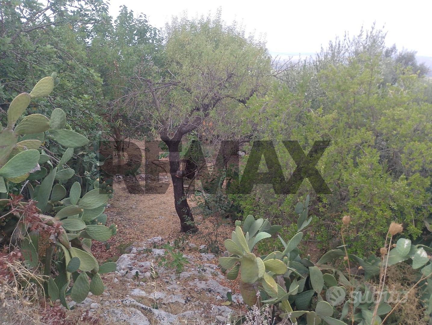 Terreno - Siracusa - Vista 6