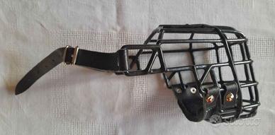 Museruola pitbull femmina