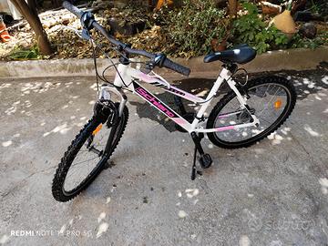 Mountain bike 