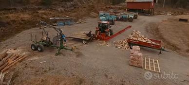 legna da ardere secca 