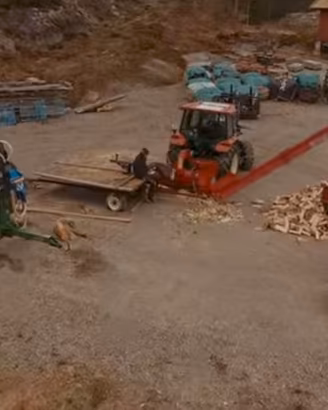 legna da ardere secca 