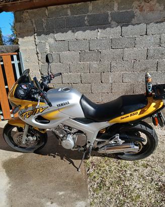 Yamaha TDM 850