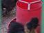 Immagine 1