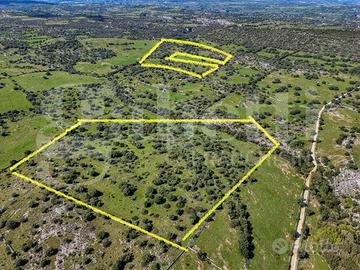 Terreno Agricolo Noto [Cod. rif 3280865VCG]