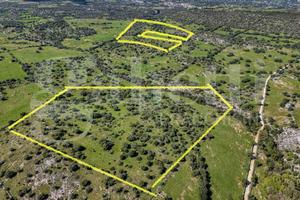 Terreno Agricolo Noto [Cod. rif 3280865VCG]