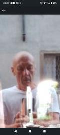 cer-co LAVORO - MAESTRO DI CASA