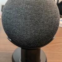 Supporto per Google Home mini