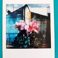 Fotografia polaroid Fuji by Maurizio Galimberti