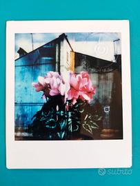 Fotografia polaroid Fuji by Maurizio Galimberti