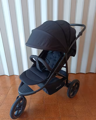 PASSEGGINO