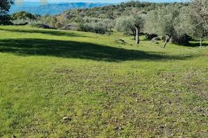 Terreno Agricolo A Ragalna