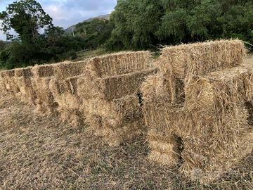 Ballette fieno prato stabile