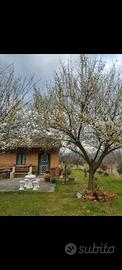 Terreno agricolo con casolare a Rende Isolette