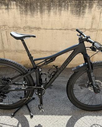 Specialized Epic Expert Carbon 29  GX Eagle Roval