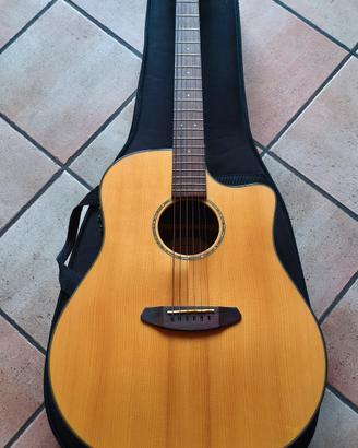Chitarra Acustica Elettrificata