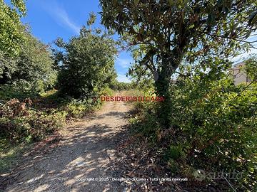 Terreno, Guadagna - Oreto Nuova, Palermo.