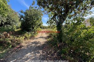 Terreno, Guadagna - Oreto Nuova, Palermo.