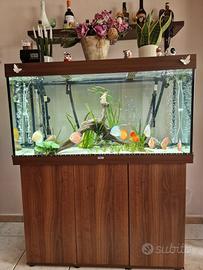 Acquario juwel rio350