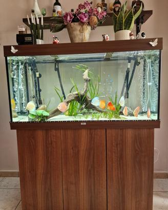 Acquario juwel rio350