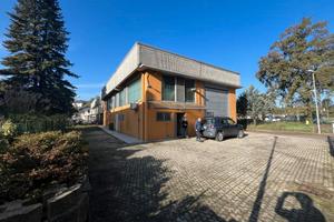 Capannone di mq.260 ,con area di manovra