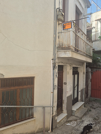 Appartamento piano terra più 1