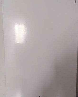 CALDAIA VIESMANN VITODEN 200-W A CONDENSAZIONE 