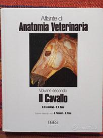 Atlante di anatomia veterinaria del cavallo