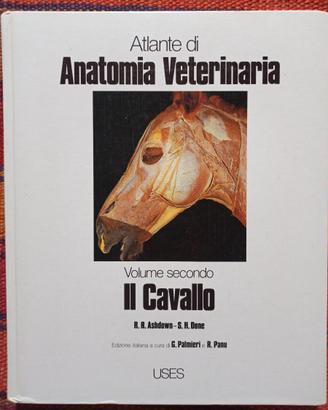 Atlante di anatomia veterinaria del cavallo