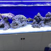 Acquario 500l