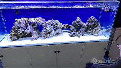 Acquario 500l