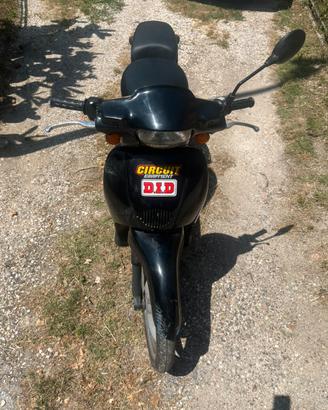 Scarabeo 50