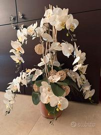 Vaso Orchidea