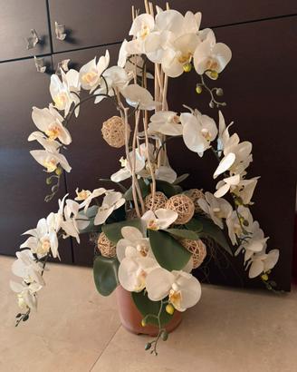 Vaso Orchidea