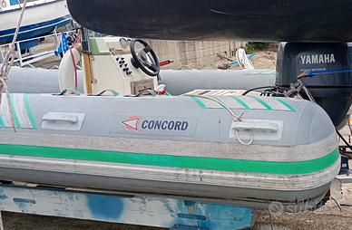 gommone con motore 40cv 